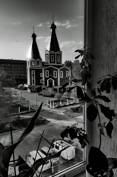 Der Blick aus dem Fenster. / ***