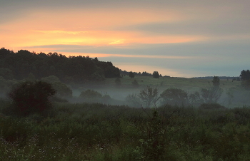 Stolz der Morgen / ***