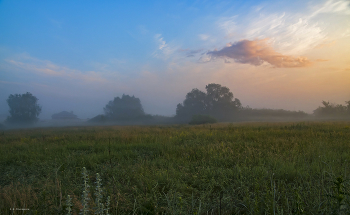 Frühmorgen. / ***