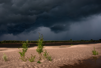 Vor dem Sturm / ***