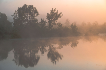 Im Nebel. / ***