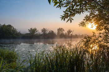 Sommermorgen. / ***