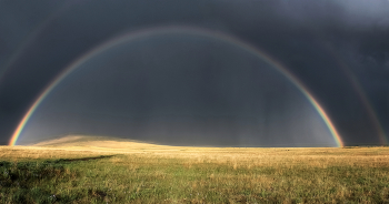 Regenbogen / ***