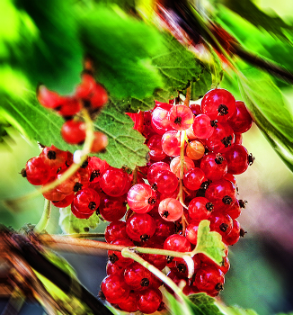 Haufen / ***