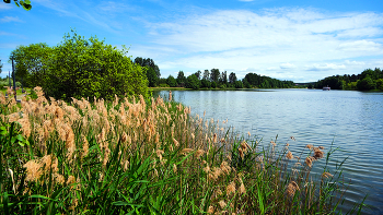 Am See. / ***