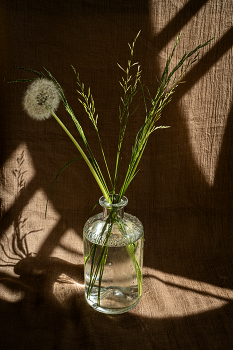 Still Life / ***