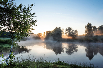 Morgen / ***