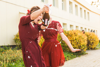 Celebration / ***