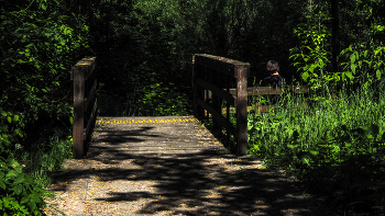 Walking im Sommer Park / ***