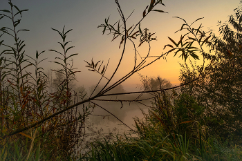 Morgendämmerung / ***