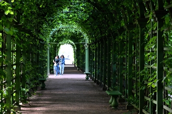 Sommergarten / ***