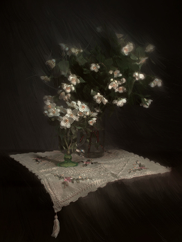 Jasmin / ***