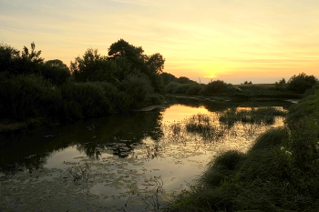 Sommerabend. / ***