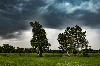 Vor dem Sturm / ***