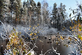 Der Morgen nach dem ersten Schnee / ***