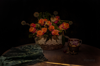 Roses / ***