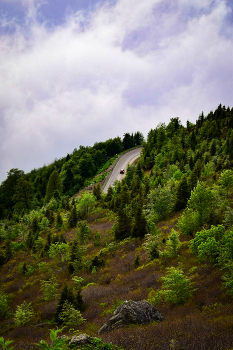 Straße nach Nirgendwo / ***