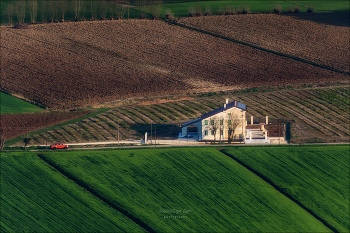 Ranch / ***