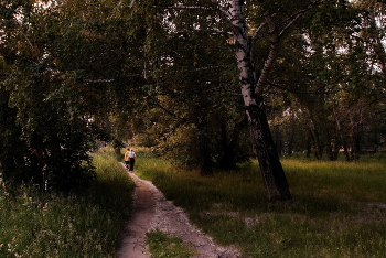 Sommerabend. / ***
