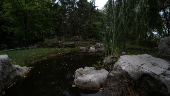 Walking im Sommer Park / ***