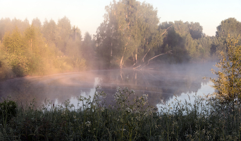 Morgen auf dem See. / ***