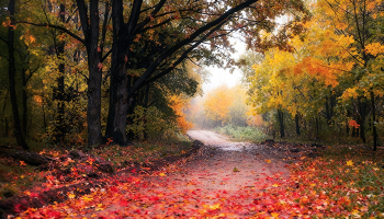Herbst Wanderung / ***