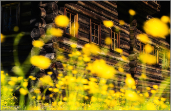 Sommer im Dorf. / ***