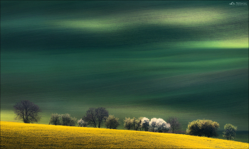 Aquarell / ***
