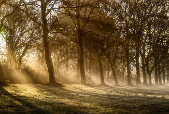 Sonnenwind / ***