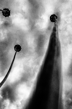Leben rund um / ***