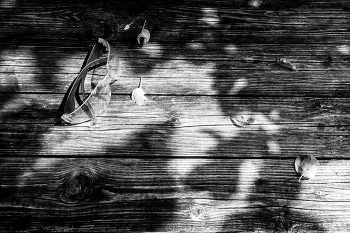Leben rund um / ***