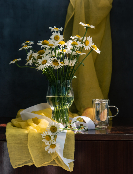Gänseblümchen / ***