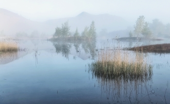 Die Natur erwacht / ***