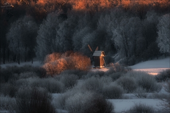 Winterschlaf / ***
