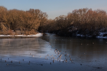 Februar Thaw / ***