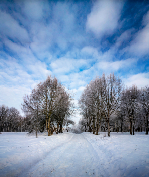 Morgen Winter / ***