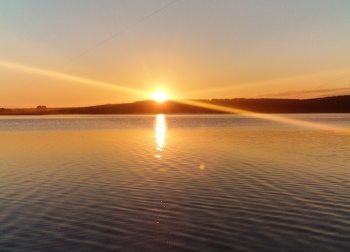 Sonnenaufgang im Wald / ***