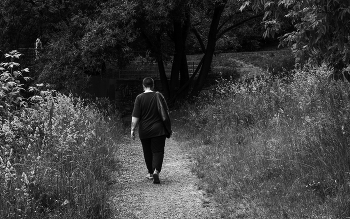 Walking im Sommer Park / ***