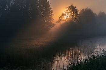 Morgendämmerung / ***
