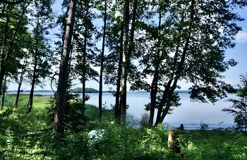 Day im Juli / ***
