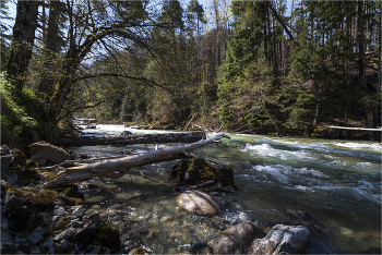mountain River / ***