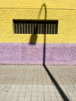 &nbsp; / ***