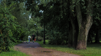 Walking im Sommer Park / ***