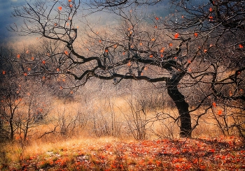 Tanzen / ***