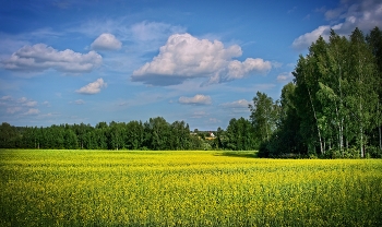 Landschaft im ländlichen Raum / ***