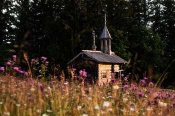Kapelle der Alexander-Newski- / ***