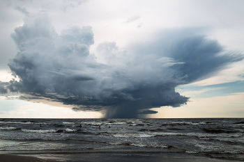 Regen. / ***
