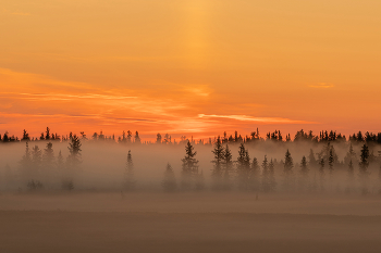 Foggy Sonnenuntergang / ***