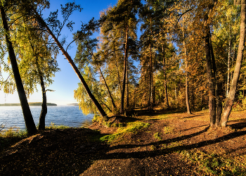 Morgen auf dem See / ***