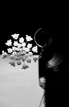 Schlagschatten / ***